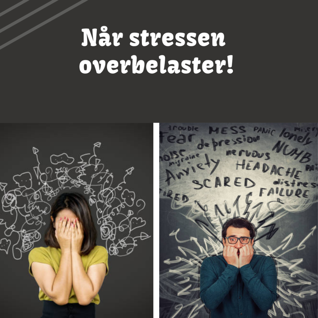 Stress kan overbelaste systemet. og det har konsekvenser for helbredet